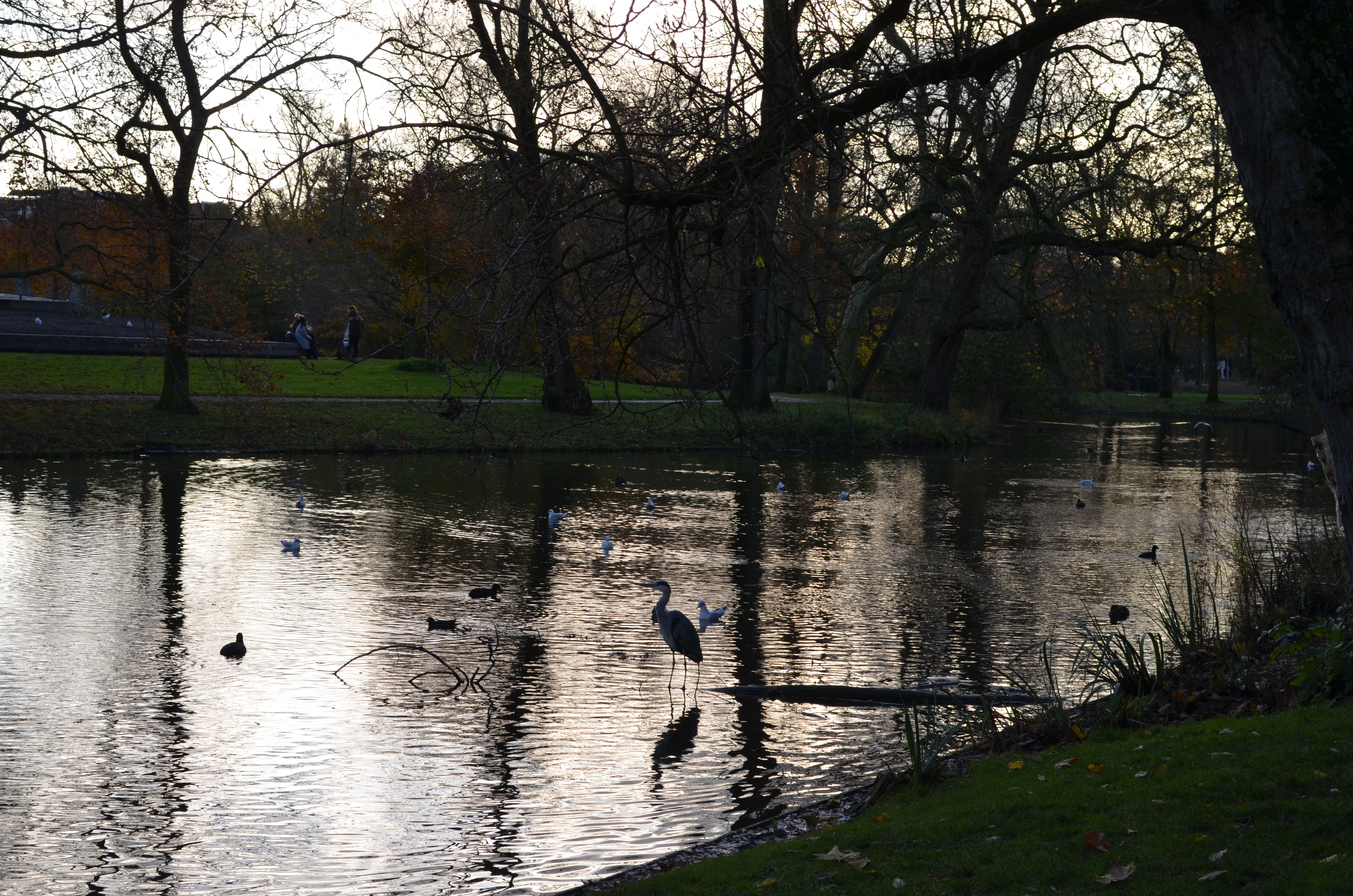 ./2017/19 - Viking Lif/13 - Amsterdam, The Netherlands/DSC_0546.JPG